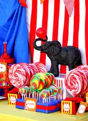 CIRCUS